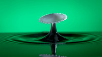 Splash